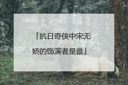 抗日奇侠中宋无娇的饰演者是谁