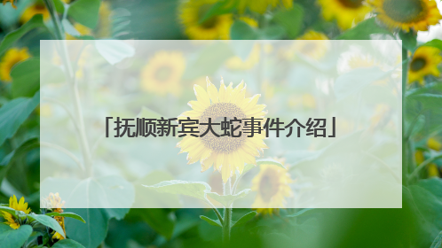 抚顺新宾大蛇事件介绍