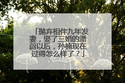 抛弃相伴九年发妻，娶了三婚的潘蔚以后，孙楠现在过得怎么样了？