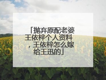 抛弃原配老婆王依梓个人资料,王依梓怎么嫁给王迅的