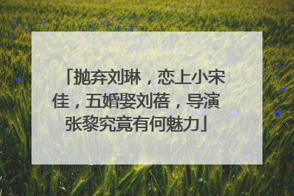 抛弃刘琳，恋上小宋佳，五婚娶刘蓓，导演张黎究竟有何魅力