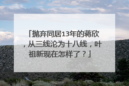 抛弃同居13年的蒋欣,从三线沦为十八线,叶祖新现在怎样了?