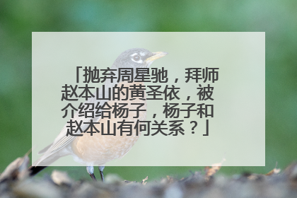 抛弃周星驰,拜师赵本山的黄圣依,被介绍给杨子,杨子和赵本山有何关系?