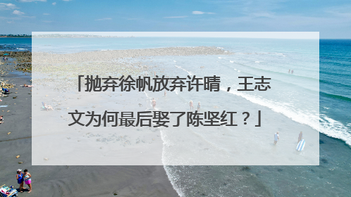 抛弃徐帆放弃许晴,王志文为何最后娶了陈坚红?