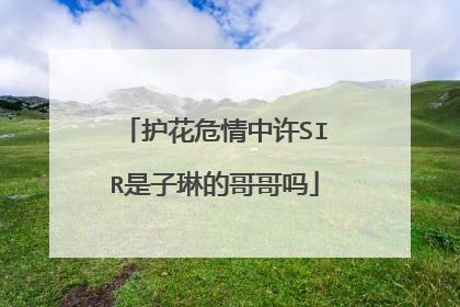 护花危情中许SIR是子琳的哥哥吗