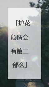 护花危情会有第二部么