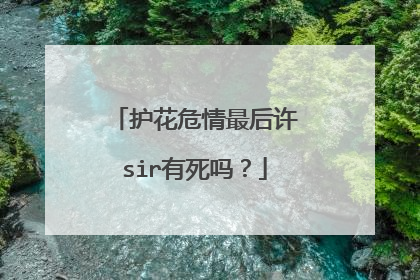 护花危情最后许sir有死吗?