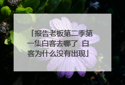报告老板第二季第一集白客去哪了 白客为什么没有出现