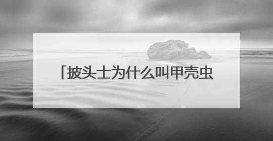 披头士为什么叫甲壳虫乐队？甲壳虫乐队help是哪一年发行的