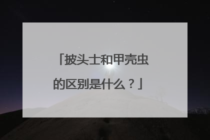披头士和甲壳虫的区别是什么？