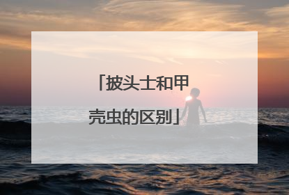 披头士和甲壳虫的区别