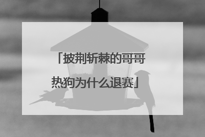 披荆斩棘的哥哥热狗为什么退赛