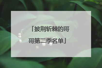 披荆斩棘的哥哥第二季名单