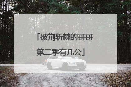 披荆斩棘的哥哥第二季有几公