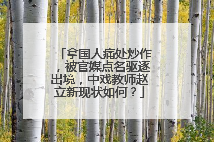 拿国人痛处炒作，被官媒点名驱逐出境，中戏教师赵立新现状如何？