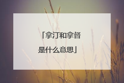 拿汀和拿督是什么意思