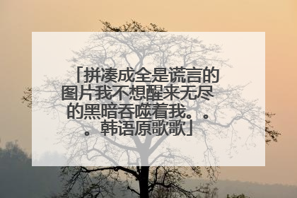 拼凑成全是谎言的图片我不想醒来无尽的黑暗吞噬着我。。。韩语原歌歌