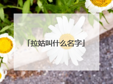 拉姑叫什么名字