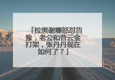 拉黑谢娜怒怼鲁豫，老公和曹云金打架，张丹丹现在如何了？