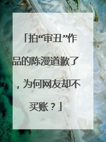 拍“审丑”作品的陈漫道歉了，为何网友却不买账？