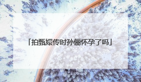 拍甄嬛传时孙俪怀孕了吗