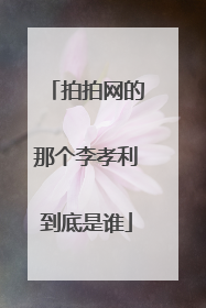 拍拍网的那个李孝利到底是谁