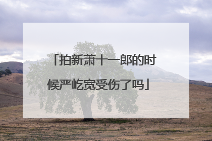 拍新萧十一郎的时候严屹宽受伤了吗