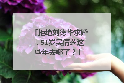 拒绝刘德华求婚,51岁吴倩莲这些年去哪了?