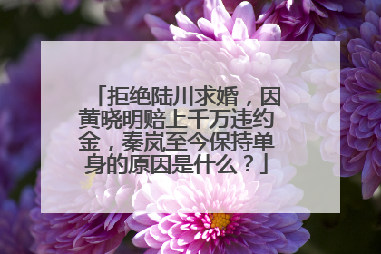 拒绝陆川求婚,因黄晓明赔上千万违约金,秦岚至今保持单身的原因是什么?