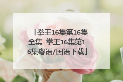拳王16集第16集全集 拳王16集第16集粤语/国语下载