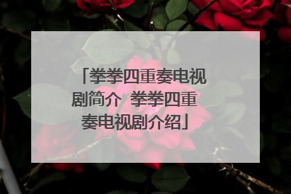 拳拳四重奏电视剧简介 拳拳四重奏电视剧介绍