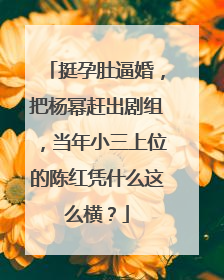挺孕肚逼婚，把杨幂赶出剧组，当年小三上位的陈红凭什么这么横？