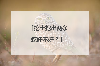 挖土挖出两条蛇好不好?