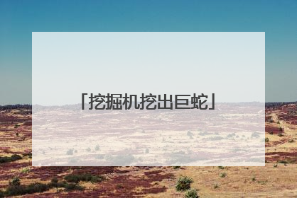 挖掘机挖出巨蛇