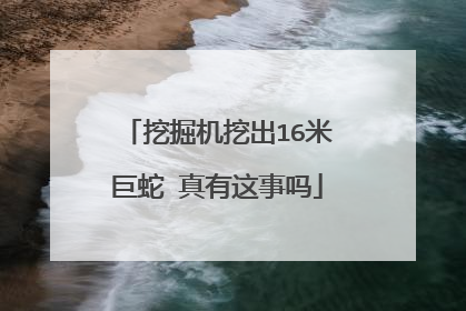 挖掘机挖出16米巨蛇 真有这事吗