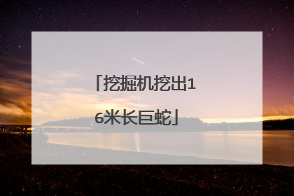 挖掘机挖出16米长巨蛇