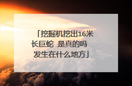 挖掘机挖出16米长巨蛇 是真的吗 发生在什么地方