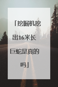 挖掘机挖出16米长巨蛇是真的吗