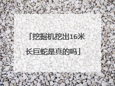 挖掘机挖出16米长巨蛇是真的吗