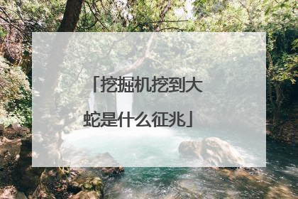 挖掘机挖到大蛇是什么征兆