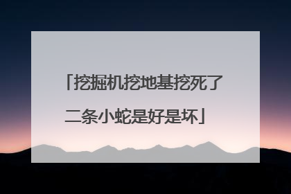 挖掘机挖地基挖死了二条小蛇是好是坏