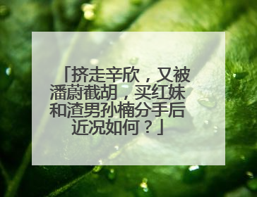 挤走辛欣,又被潘蔚截胡,买红妹和渣男孙楠分手后近况如何?