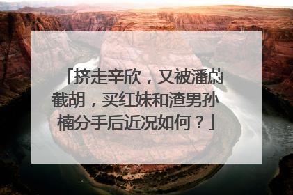 挤走辛欣,又被潘蔚截胡,买红妹和渣男孙楠分手后近况如何?