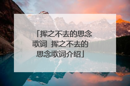 挥之不去的思念歌词 挥之不去的思念歌词介绍