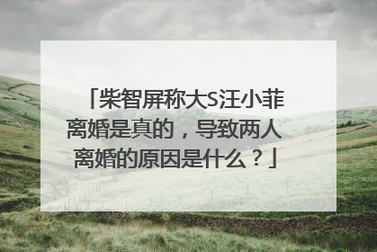 柴智屏称大S汪小菲离婚是真的,导致两人离婚的原因是什么?