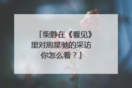 柴静在《看见》里对周星驰的采访你怎么看？