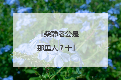 柴静老公是那里人?十