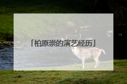 柏原崇的演艺经历