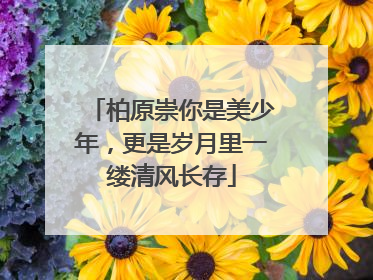 柏原崇你是美少年,更是岁月里一缕清风长存