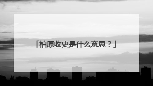 柏原收史是什么意思？